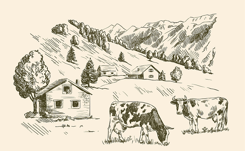 农场,乡村,房屋,低矮平房,大农场,家牛,母牛,钢笔画,水墨画,草地