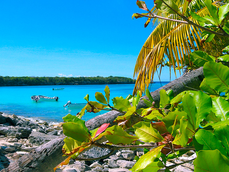 圣塔卡特莱那岛,多米尼加共和国,都市风景,荷兰加勒比海,天空,沙子,旅行者,夏天,棕榈树,居住区
