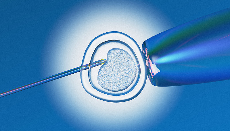 人体细胞,茎,胚胎,干细胞,腺嘌呤,人工授精,手术缝合,植物茎,怀孕的,孕检