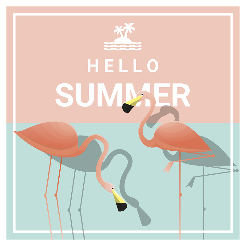 火烈鸟,夏天,绘画插图,矢量,粉色,两只动物,背景,你好,明信片,欢迎标志