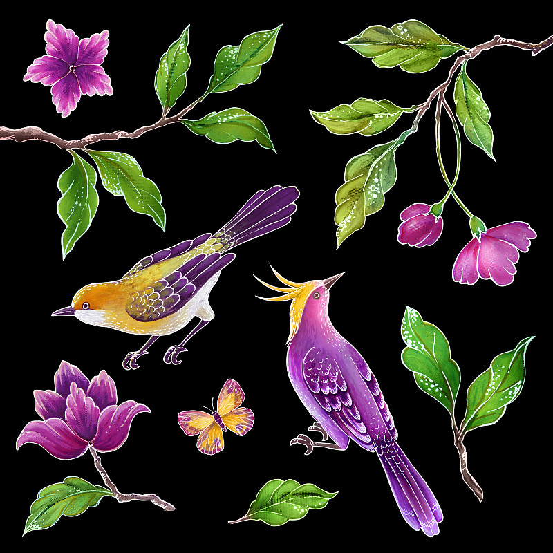 北美歌雀,鸟类,绘画插图,分离着色,自然,叶子,热带气候,花纹,花,布置