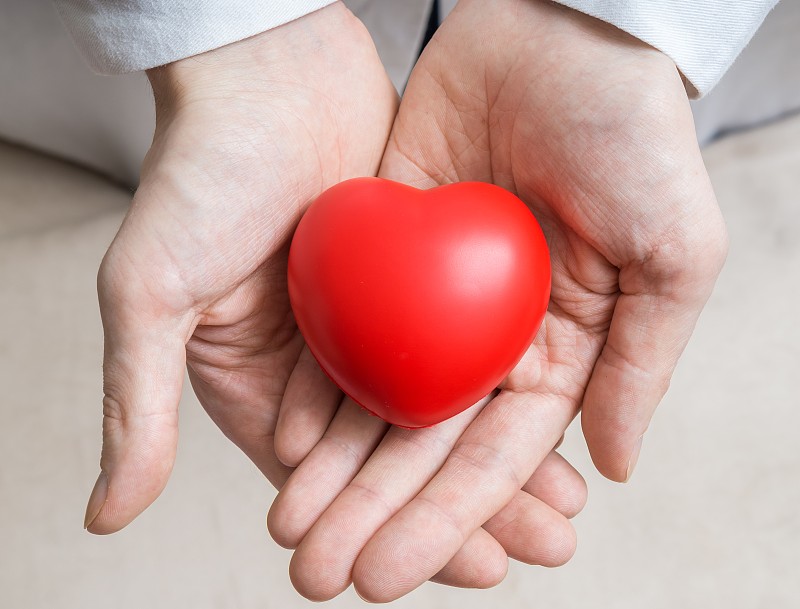 人类心脏,手,拿着,红色,概念,器官捐献,心脏手术,心脏病发作,心脏病专家
