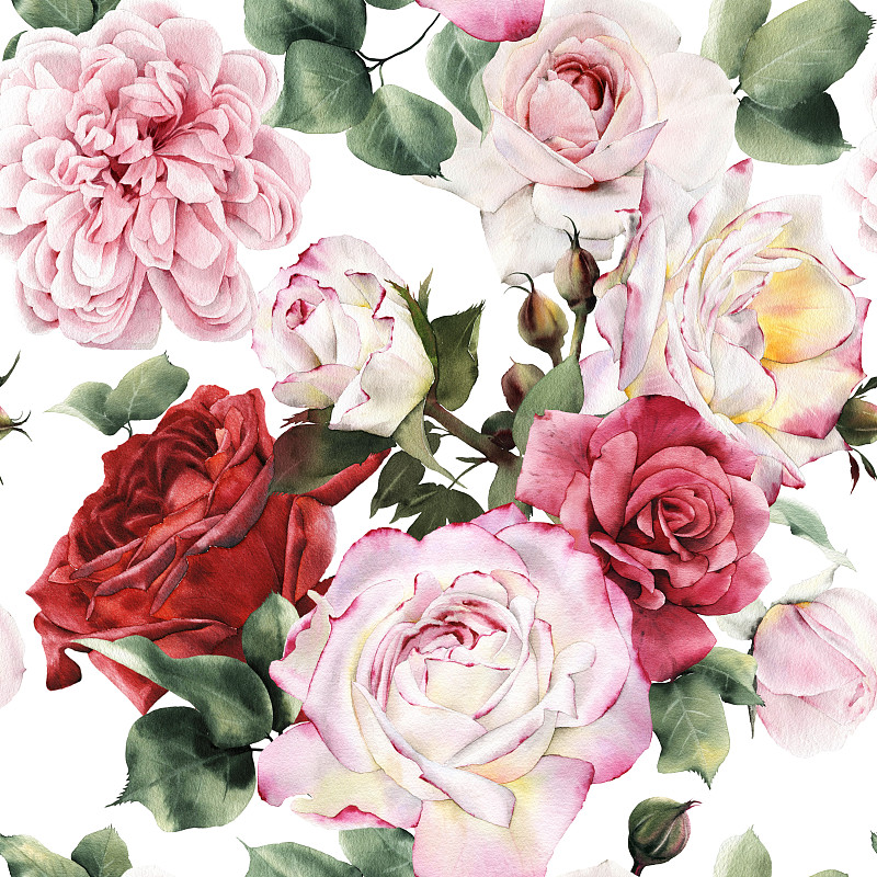 玫瑰,花纹,水彩画,牡丹,四方连续纹样,花束,花瓣,水彩画颜料,植物茎,艺术品