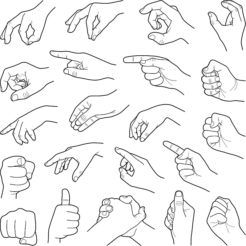 手,指节,轮廓线画,关节,拳头,轮廓,绘画插图,拇指,手腕,手指