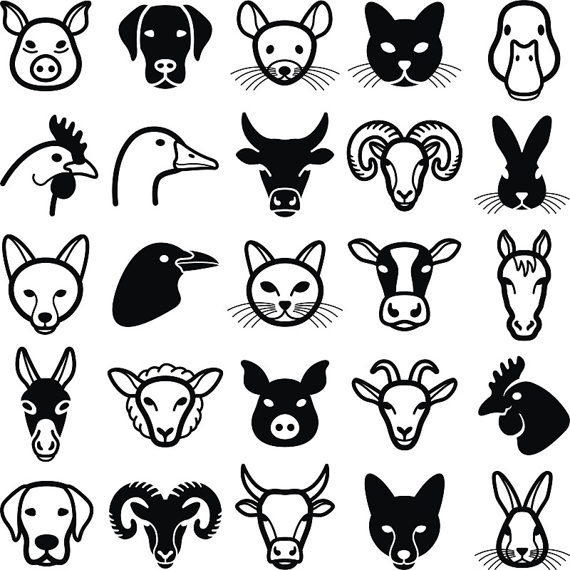 牲畜,动物头,驴子,山羊,绵羊,公羊,家牛,母牛,有角的,公牛