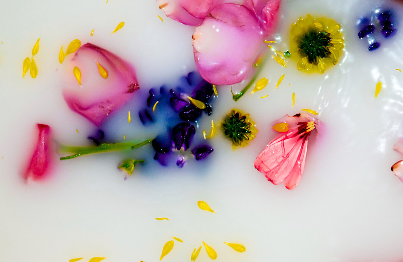 花瓣,浴盆,牛奶,粉色,水,美国,水平画幅,绿色,无人,蓝色