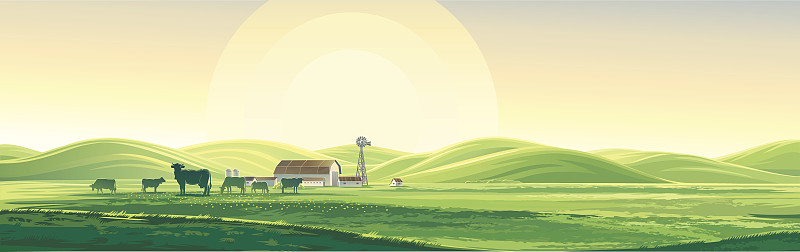 地形,夏天,小母牛,大农场,母牛,农场,丰富,田地,牲畜,农业