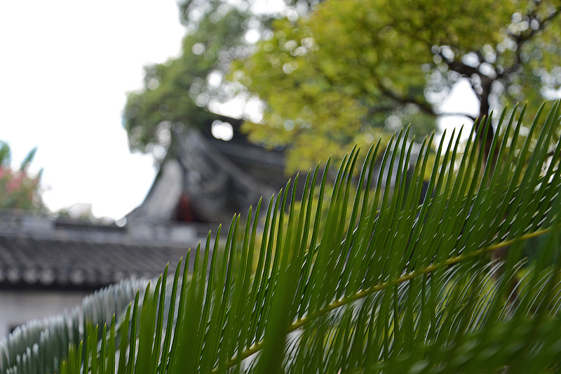 屋顶,宫殿,宏伟,大门,过去,雕像,北京,水平画幅,无人,符号