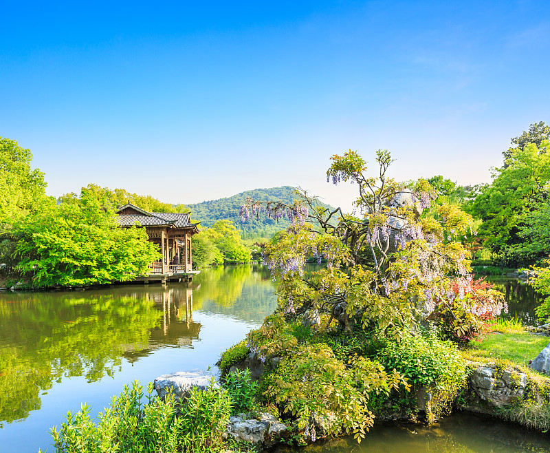 西湖,杭州,夏天,自然美,园林,亭台楼阁,水,天空,美,公园