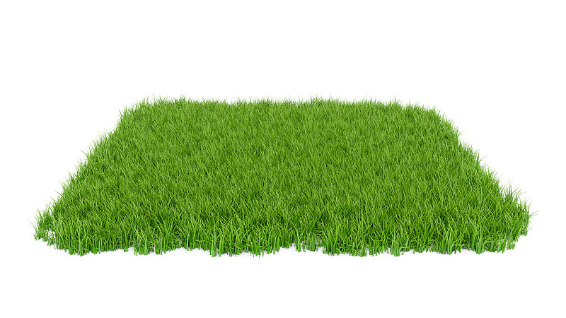草,田地,三维图形,绿色,白色背景,分离着色,草皮,地面,草坪,菜园