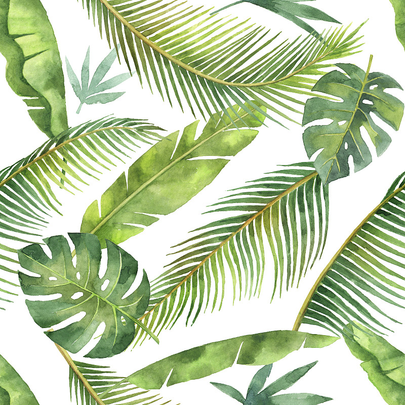 叶子,枝,四方连续纹样,水彩画,鸡尾酒,白色背景,分离着色,热带植物图案,棕榈沙滩镇,热带气候