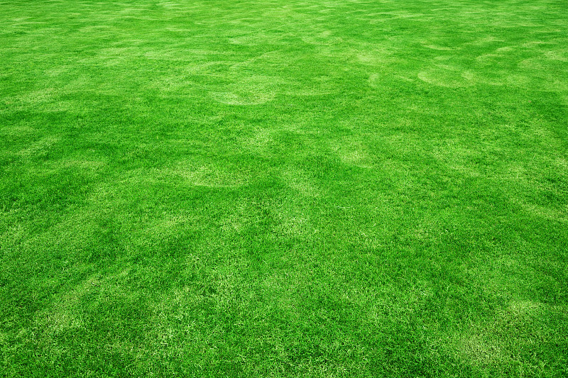 草,纹理效果,绿色,背景,球洞区,刀刃草,足球场,草皮,草原,美式橄榄球场