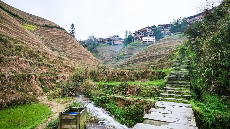 梯田,山,乡村,街道,在之间,龙脊山,龙脊梯田,龙胜,桂林,水稻梯田