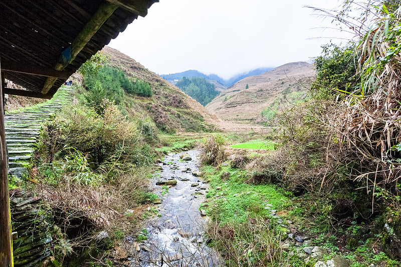 梯田,山,小溪,乡村,在之间,龙脊山,龙脊梯田,龙胜,桂林,水稻梯田