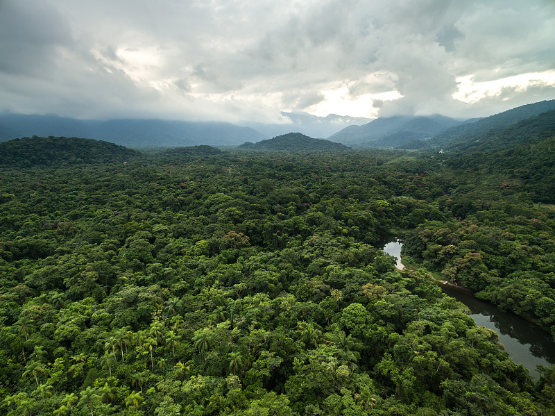 巴西,航拍视角,雨林,亚马逊雨林,亚马孙洲,贝伦,流域保护区,亚马逊河,亚马逊地区,马瑙斯