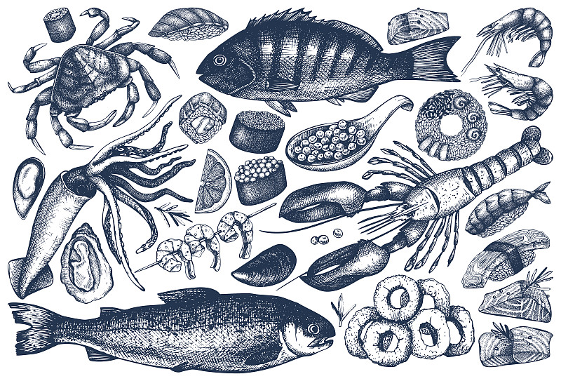 海产,轮廓,牡蛎,软体动物,龙虾,鱼类,生鱼片,三文鱼,鱼子酱,鱿鱼