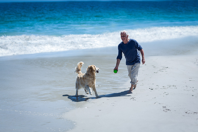 球,狗,中老年男人,70到90岁,深情的,海岸线,永远年轻,老年男人,南非,欢乐