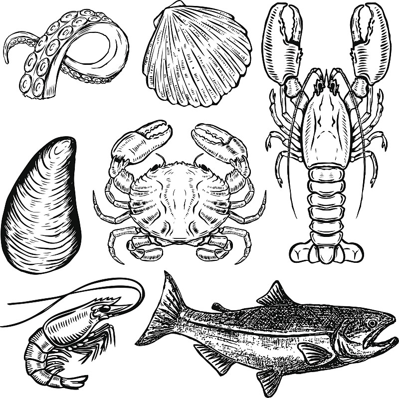 螃蟹,海产,牡蛎,虾,龙虾,三文鱼,绘画插图,矢量,菜单