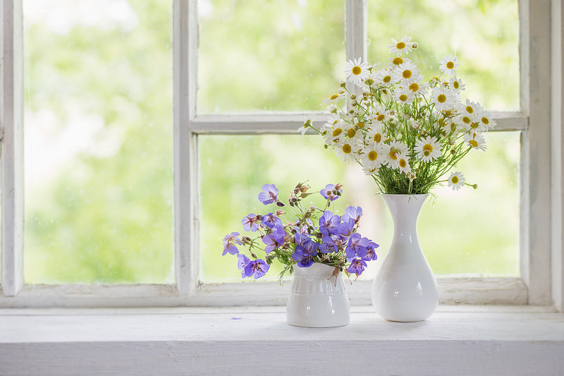 窗台,花瓶,雏菊,天竺葵,甘菊,鸢尾,窗户,晴朗,厨房,芳香的