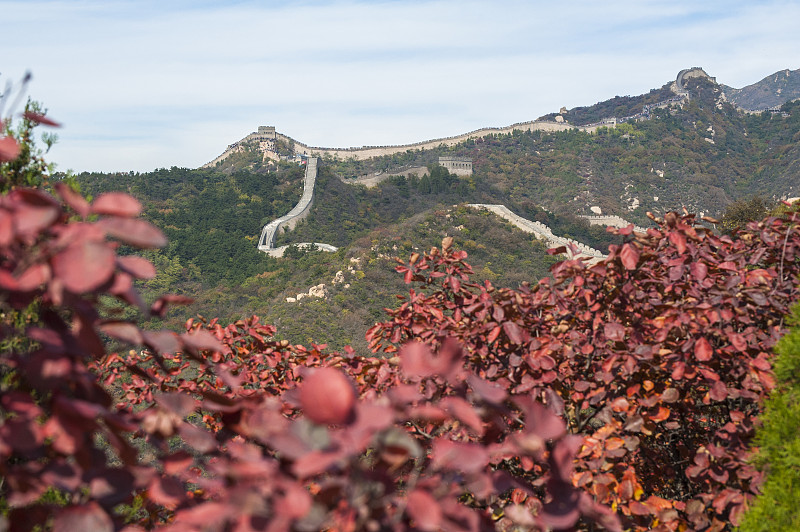 秋天,红花槭,十月,北京,世界遗产,砖,石材,晴朗,天空,水平画幅