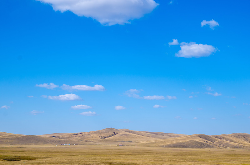 内蒙古自治区,中国,草原,动物群,草地,白昼,彩色图片,绵羊,自然,水平画幅