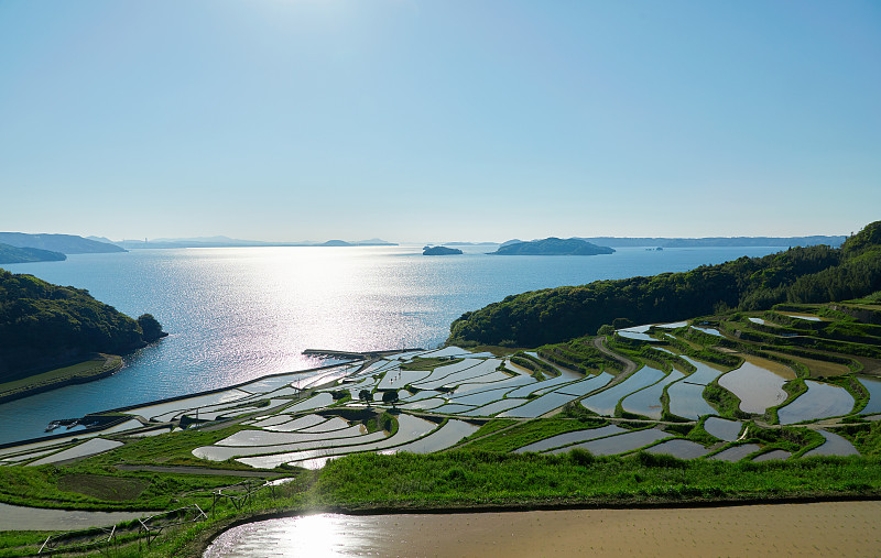 水稻梯田,日本,风景,长崎,稻田,太平洋,农业,海洋,晴朗