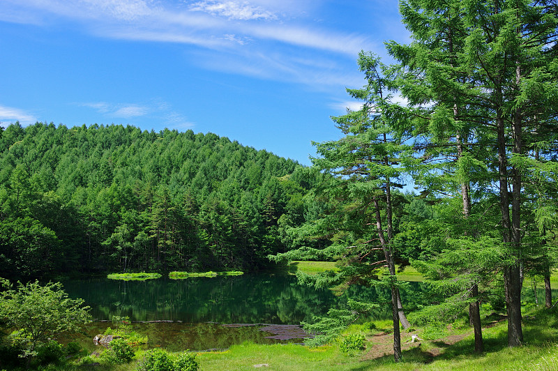 mishaka,pond（Nagano,prefecture）