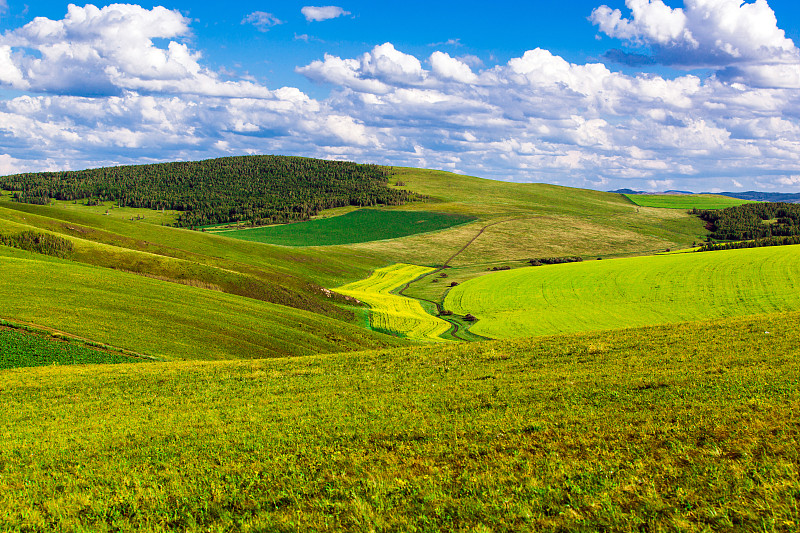 夏天,草原,乳牛场,极端地形,自然荒野区,内蒙古自治区,牧场,国家公园,拍摄场景,山