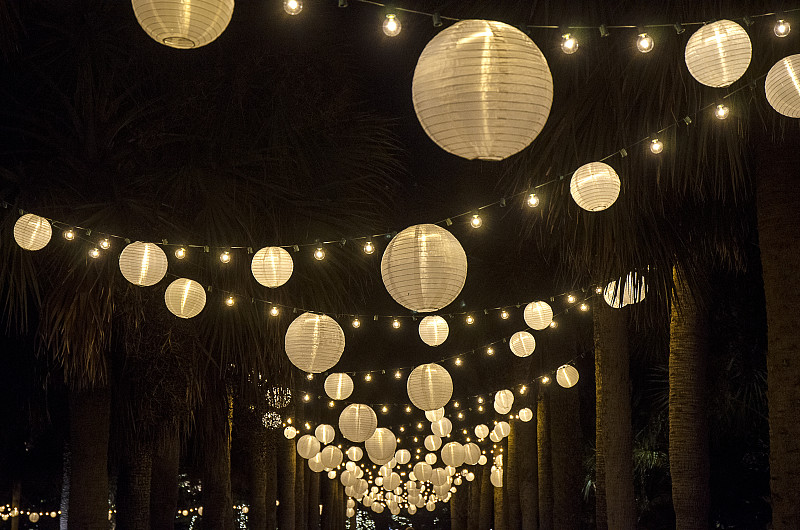 悬挂的,中国灯笼,棕榈树,灯笼,照明设备,圣诞小彩灯,热带树,十二月,园艺展览,球体