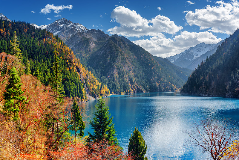 树林,风景,秋天,长湖,多色的,自然美,水,天空,水平画幅,纯净