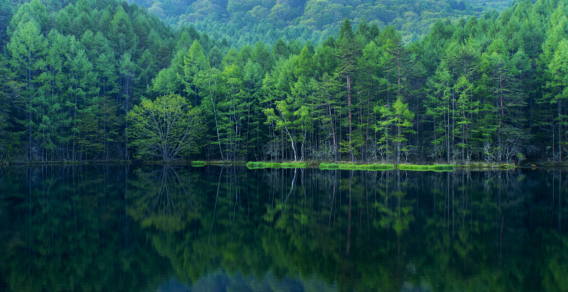 湖,平和,绿色,森林,水,水平画幅,枝繁叶茂,长野县,无人,户外