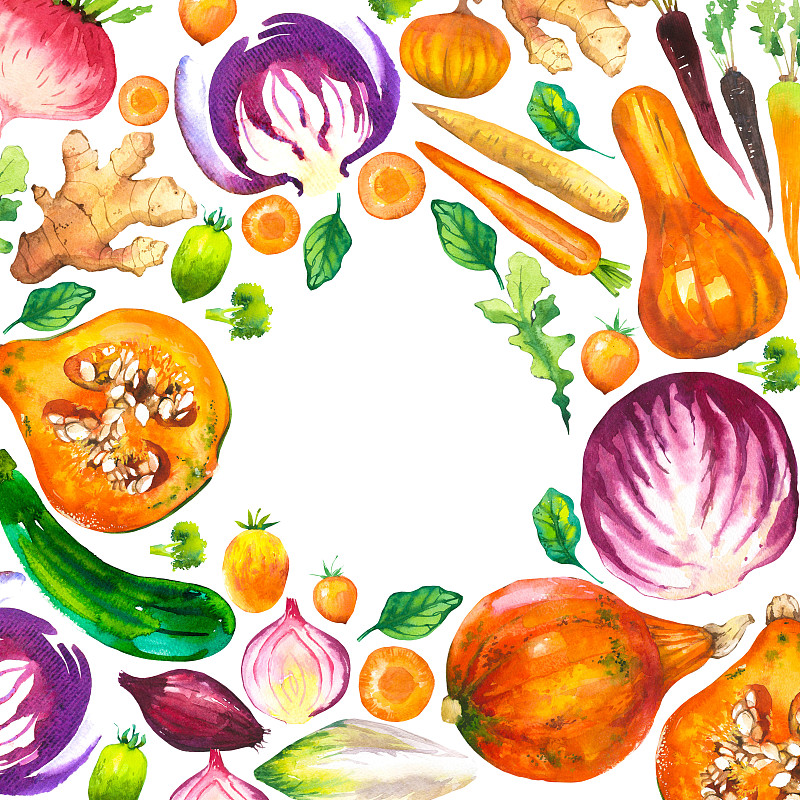 绘画插图,胡瓜,南瓜,生姜,西红柿,清新,圆形,洋葱,有机食品,西兰花