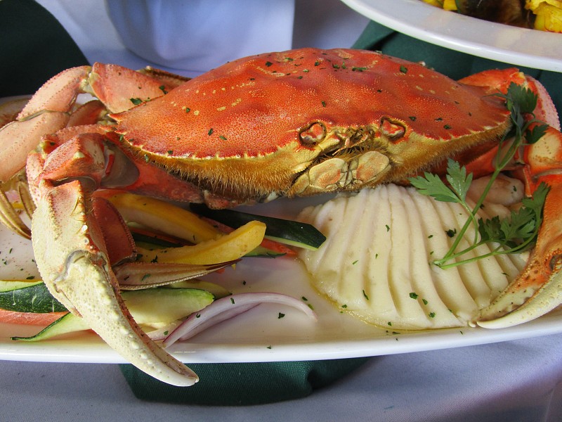 螃蟹,晚餐,一只动物,沙滩派对,开胃品,旅行者,渔人码头,蒙特利半岛,海滩