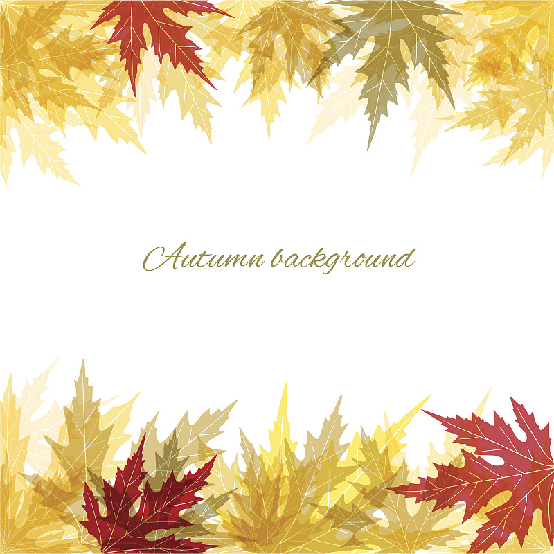 秋天,背景,国境线,枫叶,垂直画幅,美,褐色,边框,艺术,无人