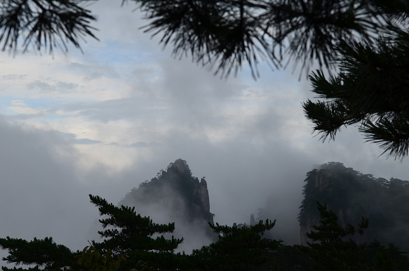 中国,黄山山脉,眩晕的,松科,松树,宁静,积雨云,自然荒野区,水平画幅,云