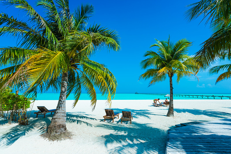 旅游目的地,岛,马尔代夫,南,阿里环礁,鸡尾酒,水,天空,留白,沙子