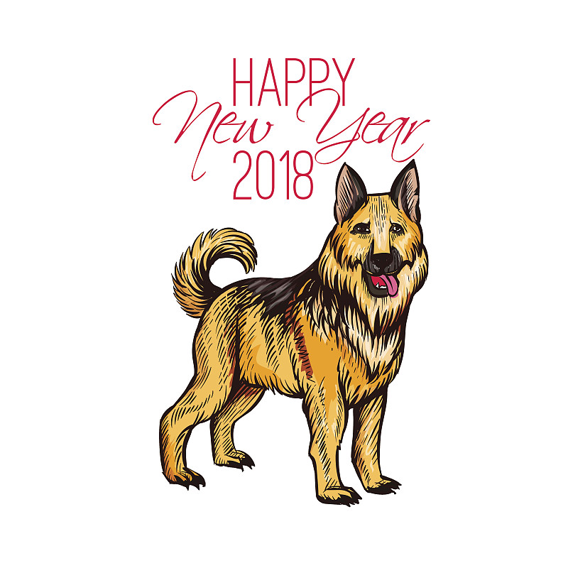 贺卡,新年前夕,狗,2018,分离着色,动物手,白色,绘画插图,情人节,古典式