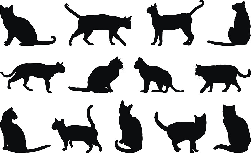 猫,水平画幅,无人,绘画插图,猫科动物,黑色,哺乳纲,宠物,农场,农业