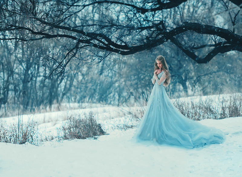 女人,枝繁叶茂,华贵,蓝色的连衣裙,美,风,水平画幅,银色,雪,公主