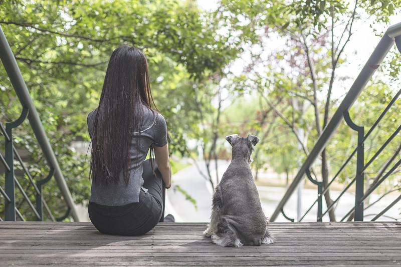 公园,可爱的,髯犬,女性,自然美,业主,美,休闲活动,水平画幅,进行中