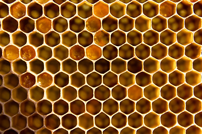 蜂蜜,特写,六边形,充满的,未来,梳子,噪声,金属,光,金属丝