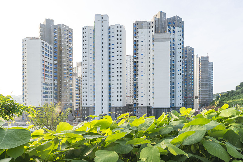 城市生活,建筑业,正面视角,状态良好,天空,夏天,一致,居住区,现代,复杂性