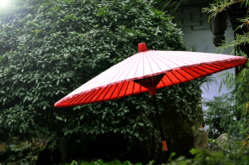 伞,日本,油纸伞,阳伞,名声,古典风格,拍摄场景,设计元素,外立面,设计师