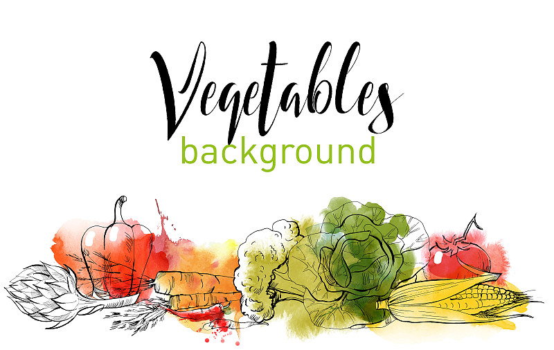 蔬菜,绘画插图,胡萝卜,边框,水平画幅,素食,夏天,组物体,椒类食物,西红柿