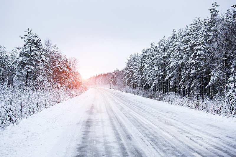 冬天,路,森林,水平画幅,雪,斯堪的纳维亚半岛,厚衣服,白色,沥青