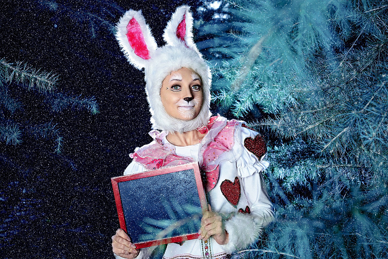 小兔子,彩妆,雪,宠物服装,毛绒绒,彩色图片,新年前夕,冬天,童话故事