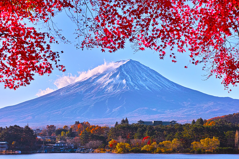 富士山,秋天,叶子,美,水平画幅,无人,东亚,户外,植物,风景