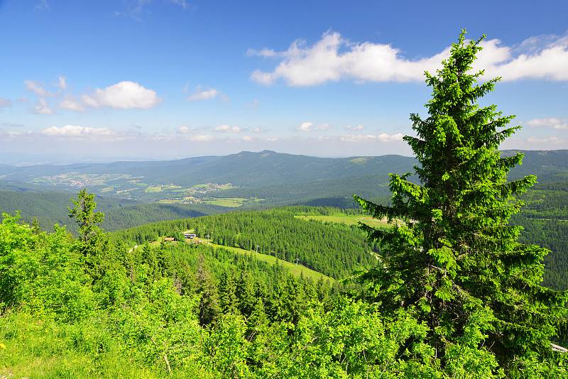 地形,德国,国家公园,夏天,贝尔利舍沃德国家公园,巴伐利亚森林,天空,美,公园,水平画幅