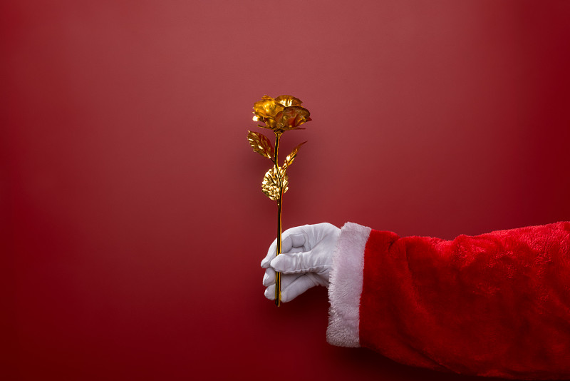 圣诞老人,黄金,玫瑰,拿着,红色背景,美,水平画幅,情人节,符号