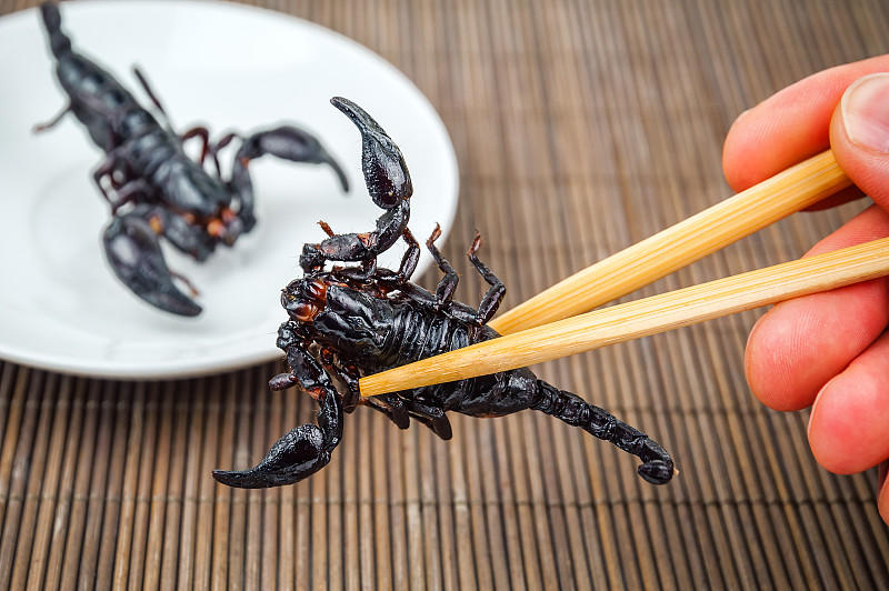 蝎子,黑色,餐具,格子烤肉,褐色,水平画幅,开胃品,膳食,异国情调,户外